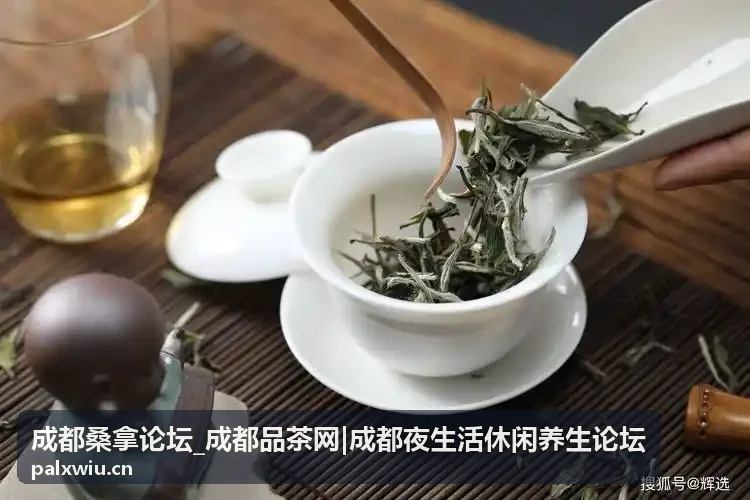 成都桑拿论坛品茶推荐服务
